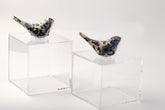 Set 2 Boxes Plexi with Bird Qishani