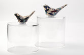 Set 2 Boxes Plexi with Bird Qishani