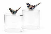 Set 2 Boxes Plexi with Bird Qishani